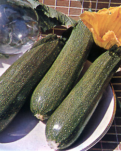 Con Agroqu&iacute;micos Peninsulares Siempre Obtendras las Mejores Cosechas.